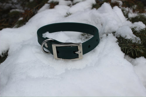 1" Buckle Collar